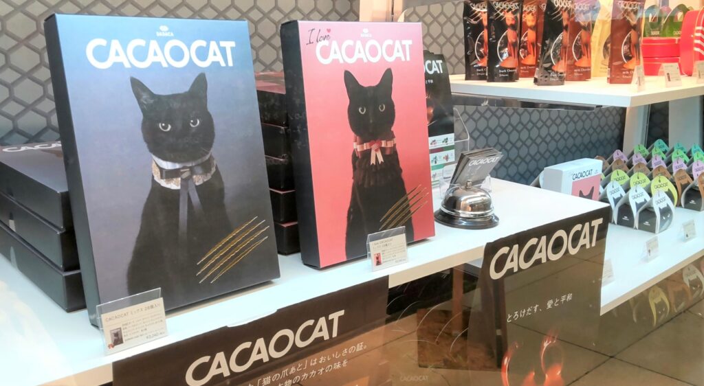 cacaocat
